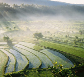 4-lieux-a-visiter-a-bali-pour-decouvrir-la-culture-traditionnelle-balinaise