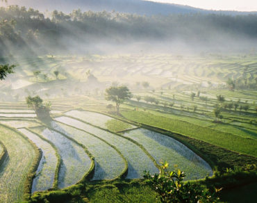 4-lieux-a-visiter-a-bali-pour-decouvrir-la-culture-traditionnelle-balinaise