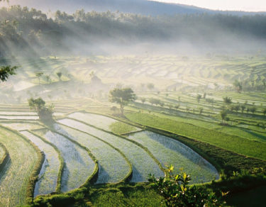 4-lieux-a-visiter-a-bali-pour-decouvrir-la-culture-traditionnelle-balinaise