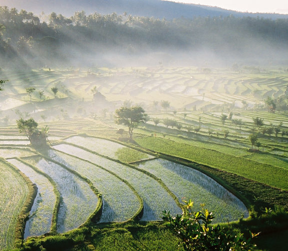 4-lieux-a-visiter-a-bali-pour-decouvrir-la-culture-traditionnelle-balinaise